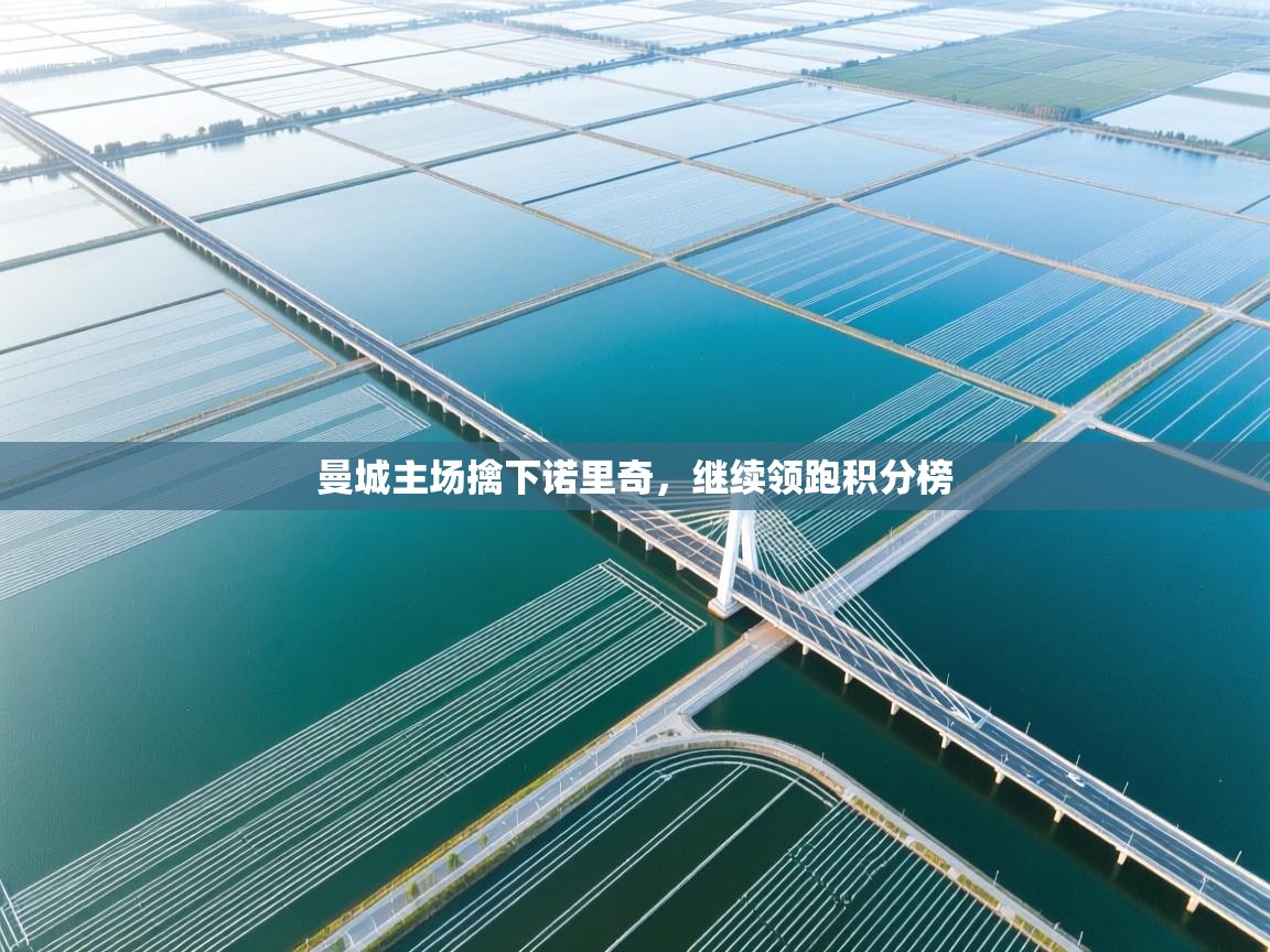 曼城主场擒下诺里奇，继续领跑积分榜