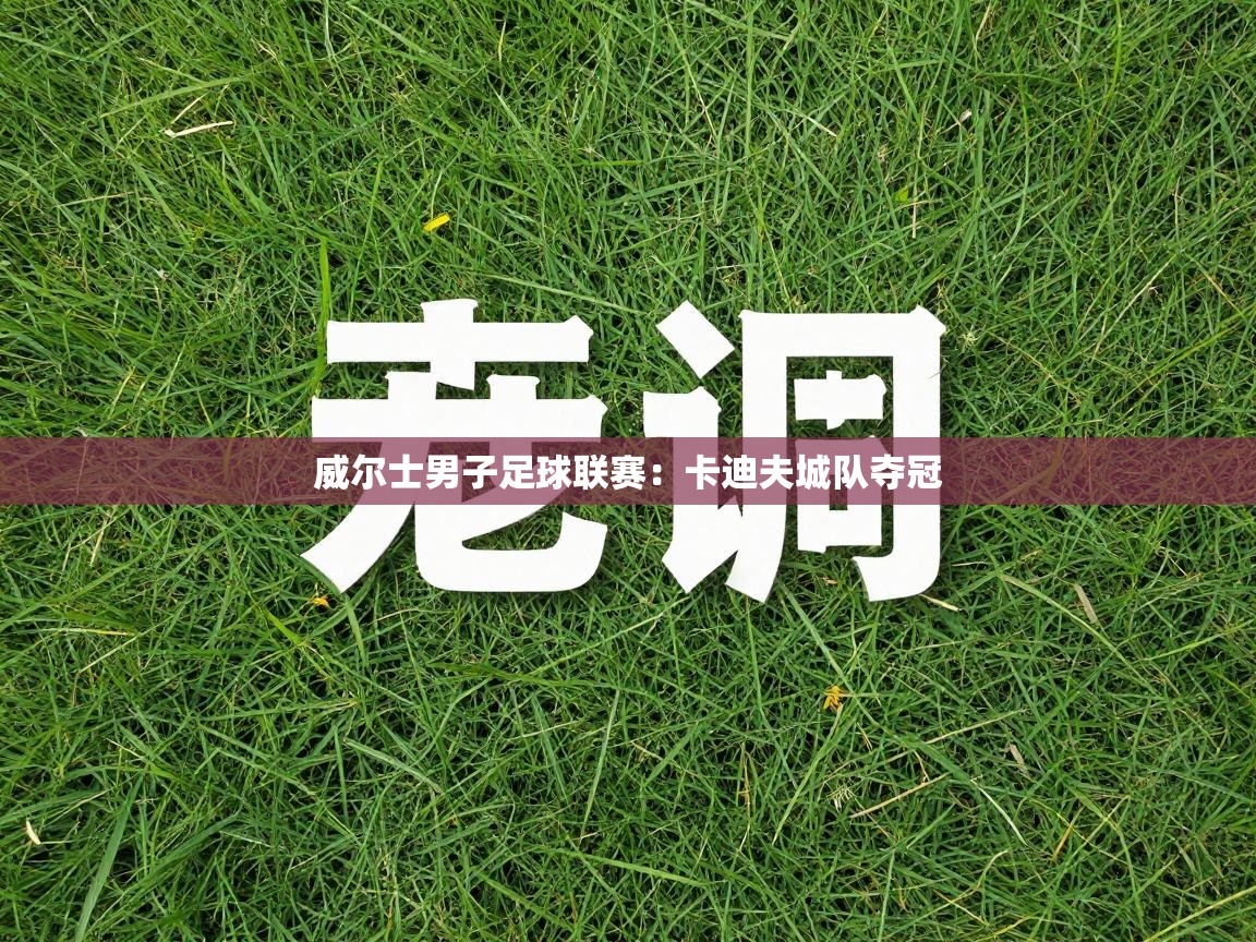 威尔士男子足球联赛：卡迪夫城队夺冠