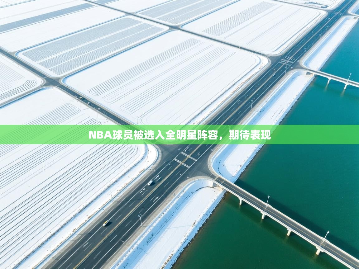 NBA球员被选入全明星阵容,期待表现 第1张